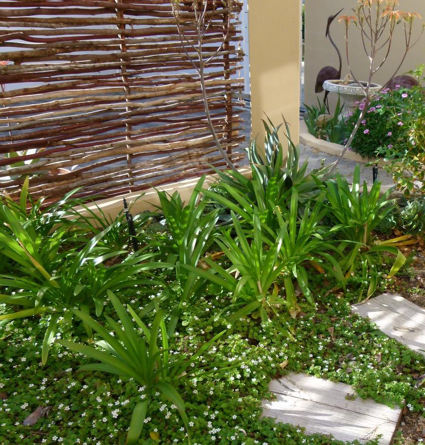 Anchorage Inn Guesthouse Montagu Bagian luar foto
